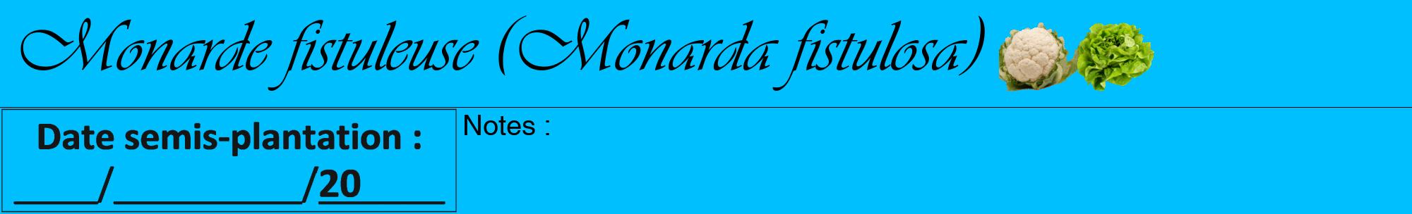 Étiquette de : Monarda fistulosa - format a - style noire2viv avec comestibilité simplifiée