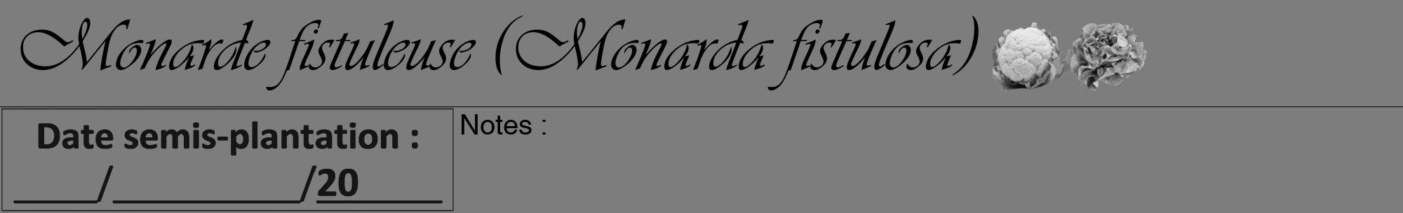 Étiquette de : Monarda fistulosa - format a - style noire35viv avec comestibilité simplifiée