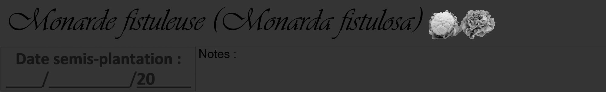 Étiquette de : Monarda fistulosa - format a - style noire46viv avec comestibilité simplifiée