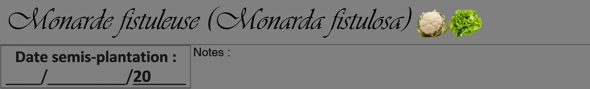 Étiquette de : Monarda fistulosa - format a - style noire57viv avec comestibilité simplifiée