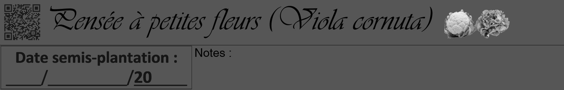 Étiquette de : Viola cornuta - format a - style noire45basiqueviv avec qrcode et comestibilité simplifiée