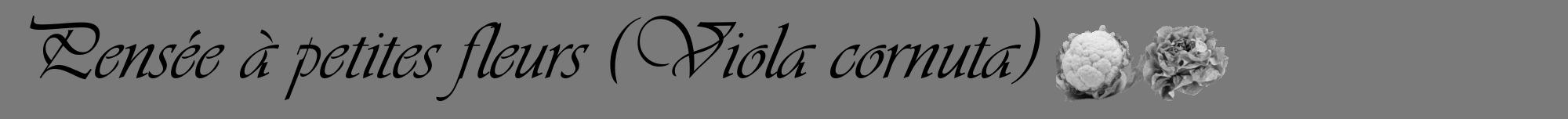 Étiquette de : Viola cornuta - format a - style noire3viv avec comestibilité simplifiée