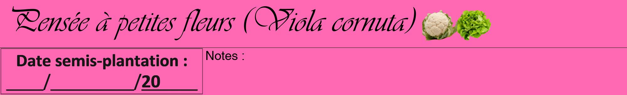 Étiquette de : Viola cornuta - format a - style noire42viv avec comestibilité simplifiée