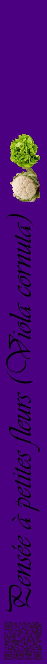 Étiquette de : Viola cornuta - format a - style noire47viv avec qrcode et comestibilité simplifiée