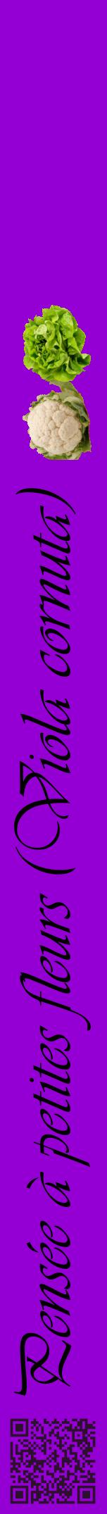 Étiquette de : Viola cornuta - format a - style noire48viv avec qrcode et comestibilité simplifiée