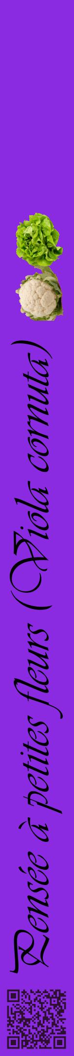 Étiquette de : Viola cornuta - format a - style noire49viv avec qrcode et comestibilité simplifiée