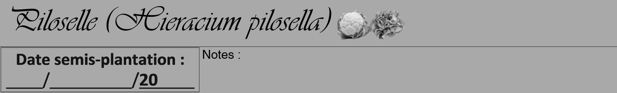 Étiquette de : Hieracium pilosella - format a - style noire13viv avec comestibilité simplifiée