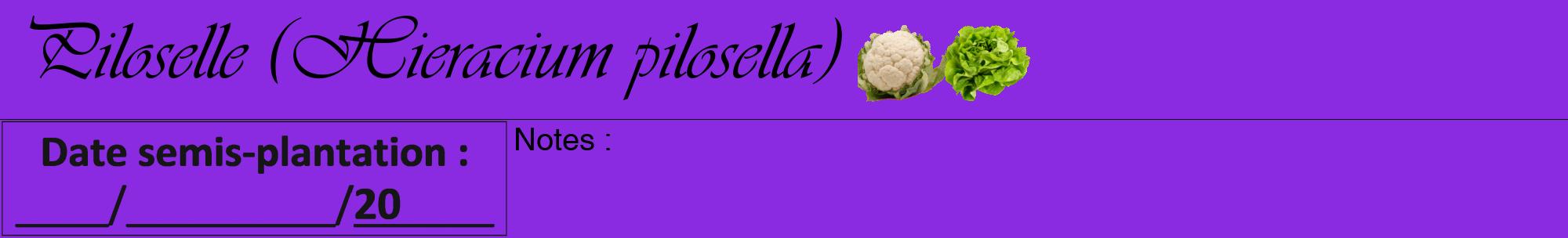 Étiquette de : Hieracium pilosella - format a - style noire49viv avec comestibilité simplifiée