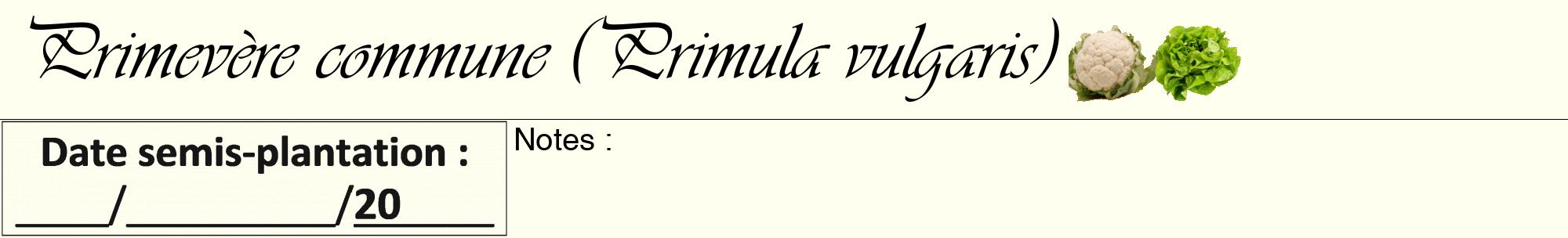 Étiquette de : Primula vulgaris - format a - style noire19basiqueviv avec comestibilité simplifiée