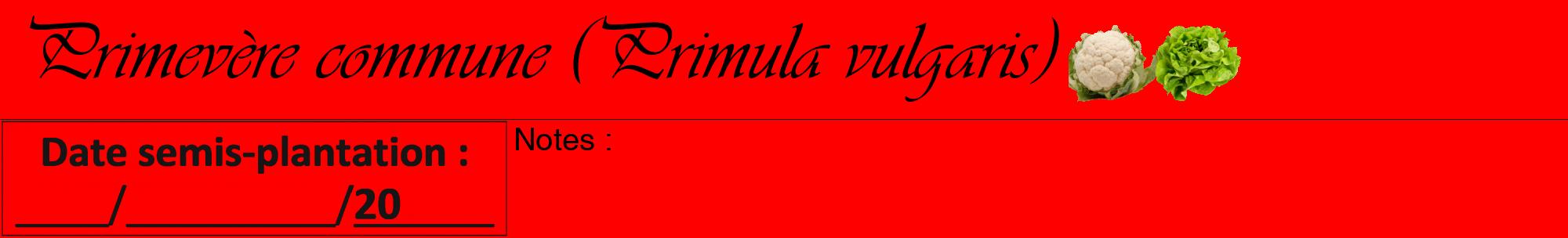 Étiquette de : Primula vulgaris - format a - style noire27viv avec comestibilité simplifiée