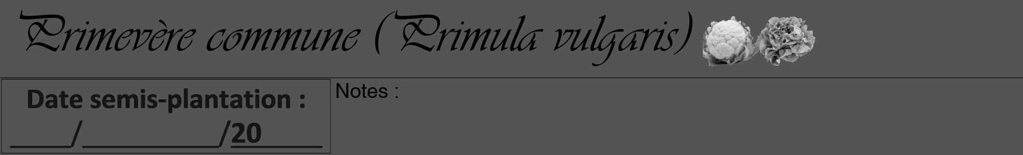 Étiquette de : Primula vulgaris - format a - style noire36viv avec comestibilité simplifiée