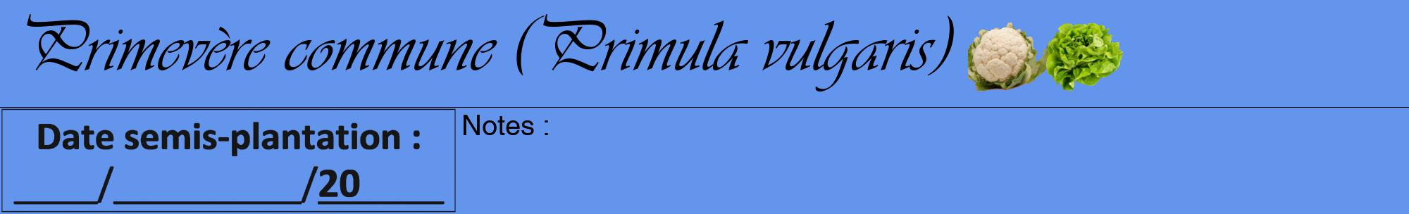 Étiquette de : Primula vulgaris - format a - style noire4viv avec comestibilité simplifiée