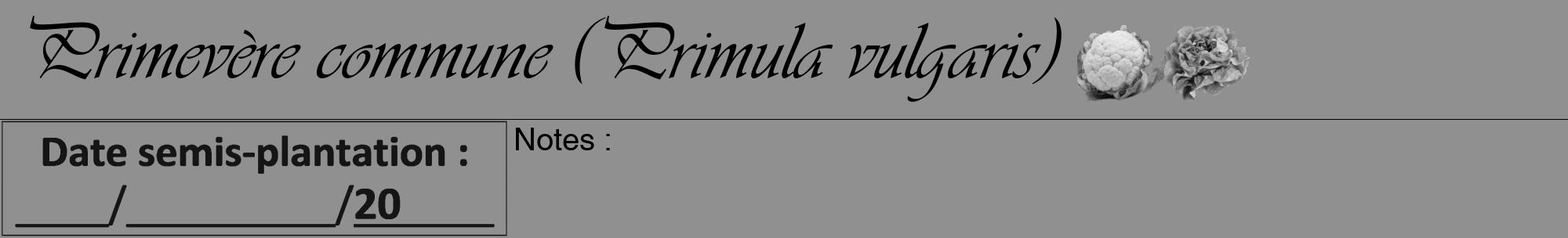 Étiquette de : Primula vulgaris - format a - style noire4viv avec comestibilité simplifiée