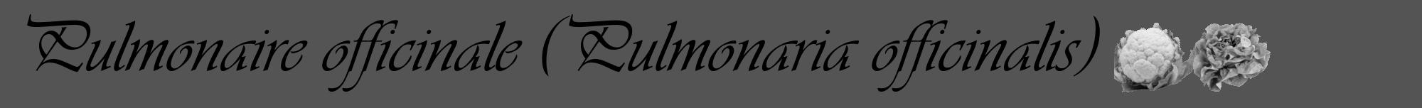 Étiquette de : Pulmonaria officinalis - format a - style noire30viv avec comestibilité simplifiée