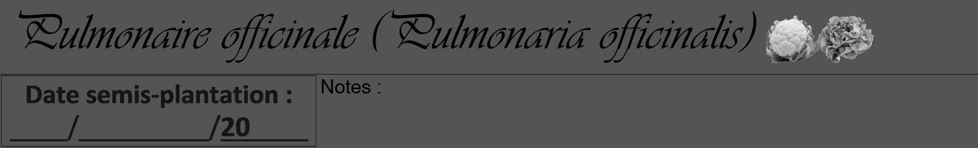 Étiquette de : Pulmonaria officinalis - format a - style noire30viv avec comestibilité simplifiée