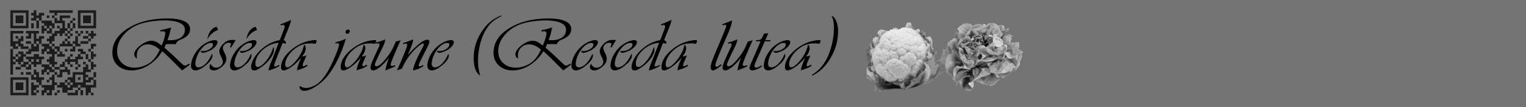 Étiquette de : Reseda lutea - format a - style noire26viv avec qrcode et comestibilité simplifiée