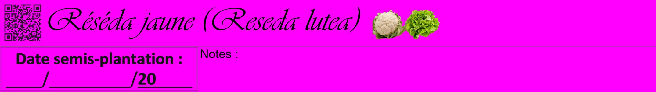 Étiquette de : Reseda lutea - format a - style noire51viv avec qrcode et comestibilité simplifiée