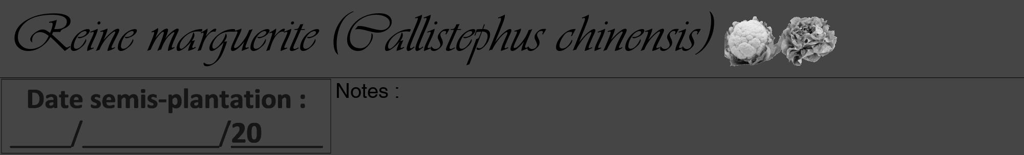 Étiquette de : Callistephus chinensis - format a - style noire58viv avec comestibilité simplifiée