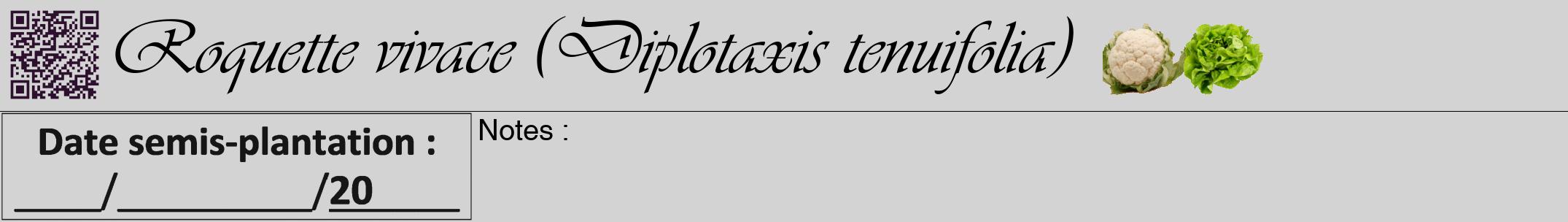 Étiquette de : Diplotaxis tenuifolia - format a - style noire56viv avec qrcode et comestibilité simplifiée