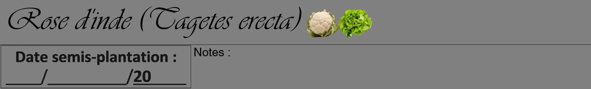 Étiquette de : Tagetes erecta - format a - style noire57viv avec comestibilité simplifiée