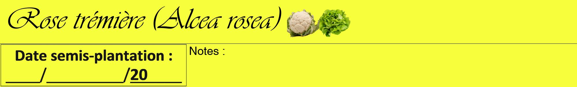Étiquette de : Alcea rosea - format a - style noire18viv avec comestibilité simplifiée