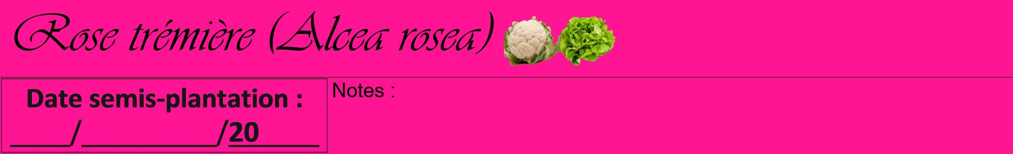 Étiquette de : Alcea rosea - format a - style noire43viv avec comestibilité simplifiée