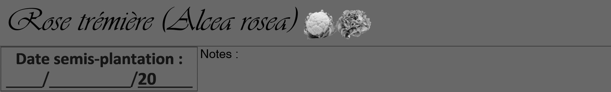 Étiquette de : Alcea rosea - format a - style noire43viv avec comestibilité simplifiée
