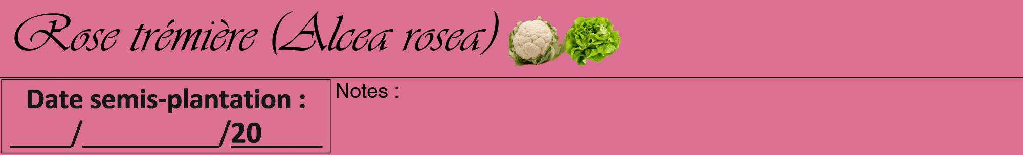 Étiquette de : Alcea rosea - format a - style noire44viv avec comestibilité simplifiée