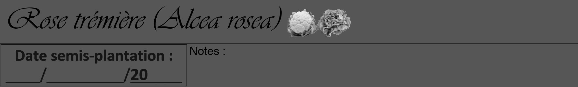 Étiquette de : Alcea rosea - format a - style noire45viv avec comestibilité simplifiée