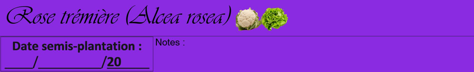 Étiquette de : Alcea rosea - format a - style noire49viv avec comestibilité simplifiée