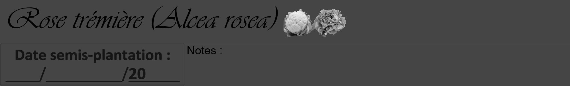 Étiquette de : Alcea rosea - format a - style noire58viv avec comestibilité simplifiée