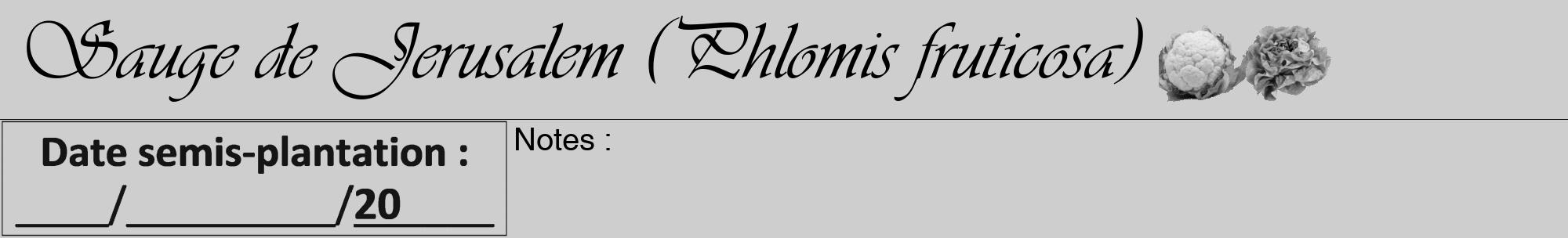 Étiquette de : Phlomis fruticosa - format a - style noire17viv avec comestibilité simplifiée