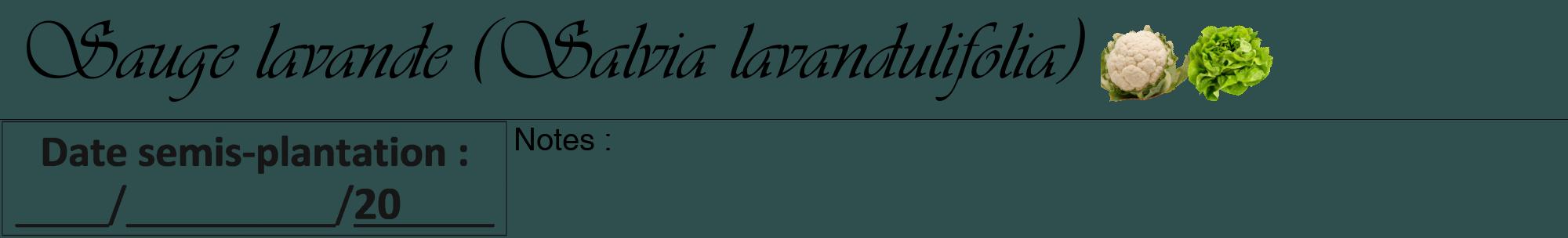 Étiquette de : Salvia lavandulifolia - format a - style noire58viv avec comestibilité simplifiée