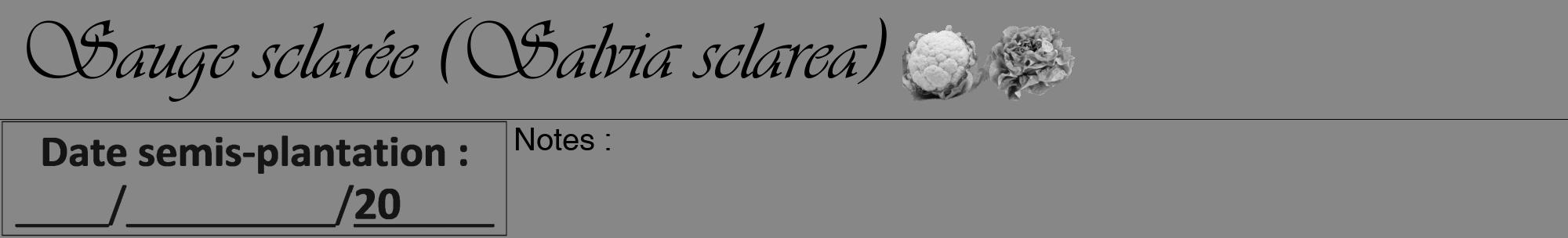 Étiquette de : Salvia sclarea - format a - style noire12viv avec comestibilité simplifiée