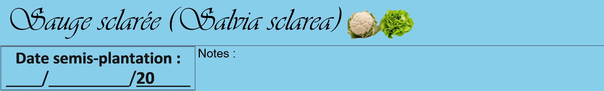 Étiquette de : Salvia sclarea - format a - style noire1viv avec comestibilité simplifiée
