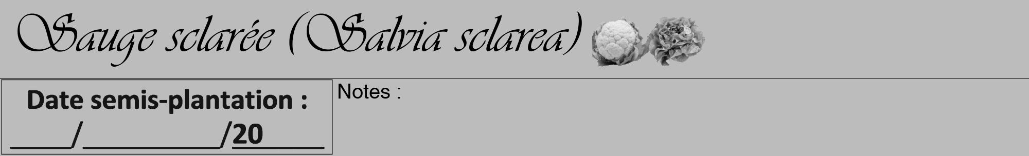 Étiquette de : Salvia sclarea - format a - style noire1viv avec comestibilité simplifiée