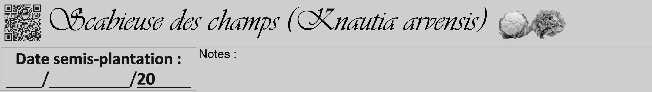 Étiquette de : Knautia arvensis - format a - style noire17simpleviv avec qrcode et comestibilité simplifiée