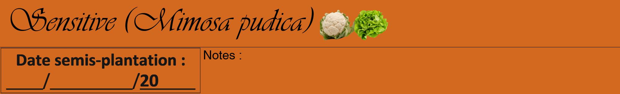 Étiquette de : Mimosa pudica - format a - style noire31viv avec comestibilité simplifiée