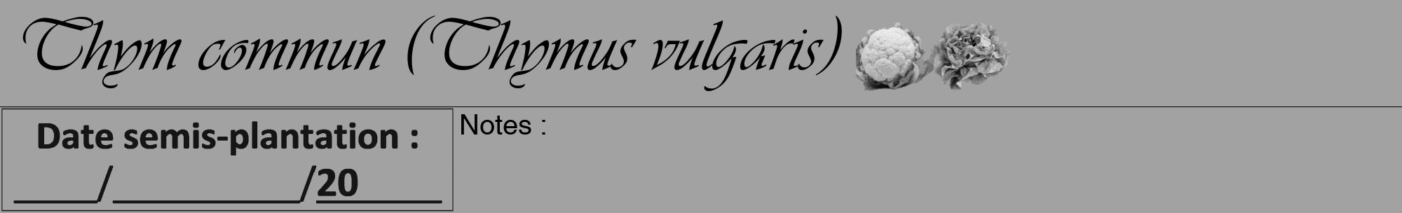 Étiquette de : Thymus vulgaris - format a - style noire38viv avec comestibilité simplifiée