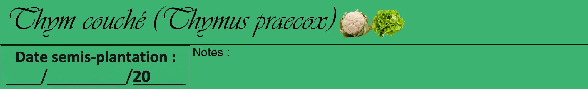 Étiquette de : Thymus praecox - format a - style noire12basiqueviv avec comestibilité simplifiée