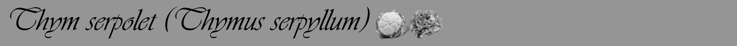 Étiquette de : Thymus serpyllum - format a - style noire16simpleviv avec comestibilité simplifiée