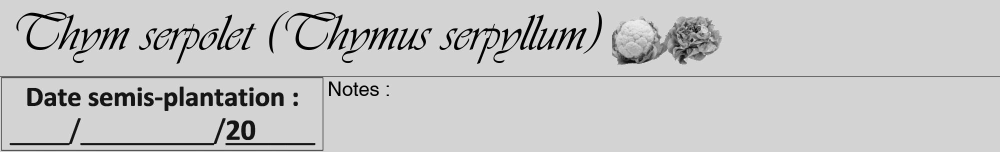 Étiquette de : Thymus serpyllum - format a - style noire56viv avec comestibilité simplifiée