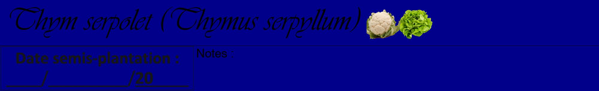 Étiquette de : Thymus serpyllum - format a - style noire7viv avec comestibilité simplifiée