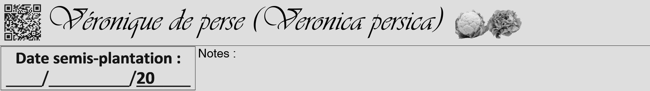 Étiquette de : Veronica persica - format a - style noire20viv avec qrcode et comestibilité simplifiée