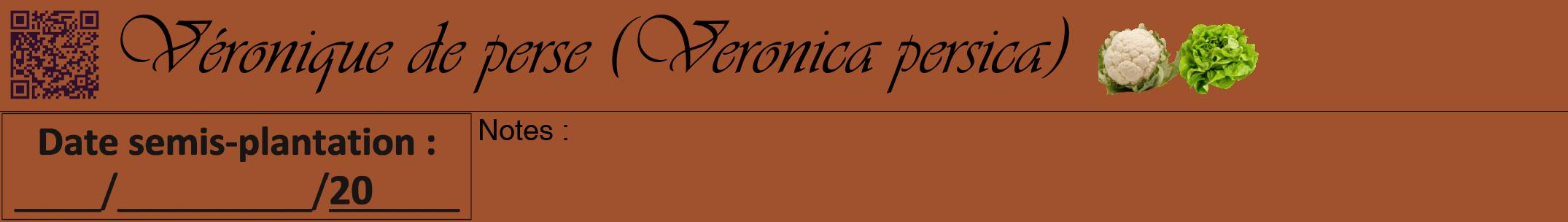 Étiquette de : Veronica persica - format a - style noire32viv avec qrcode et comestibilité simplifiée