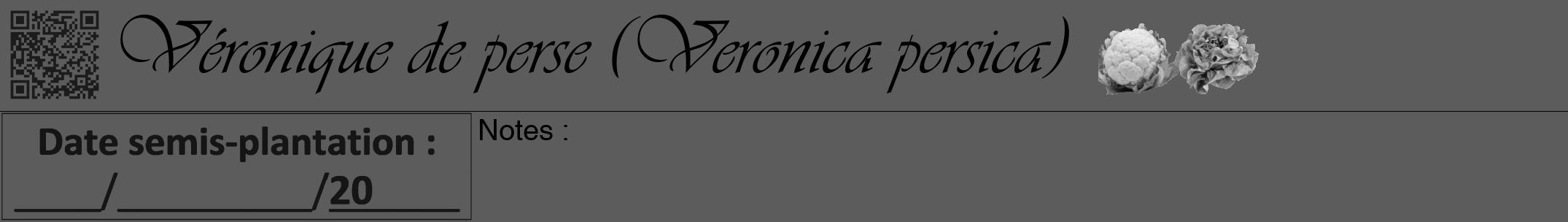 Étiquette de : Veronica persica - format a - style noire49viv avec qrcode et comestibilité simplifiée