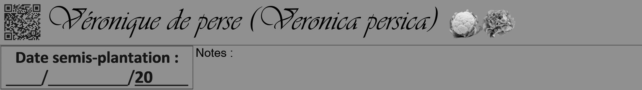 Étiquette de : Veronica persica - format a - style noire4viv avec qrcode et comestibilité simplifiée