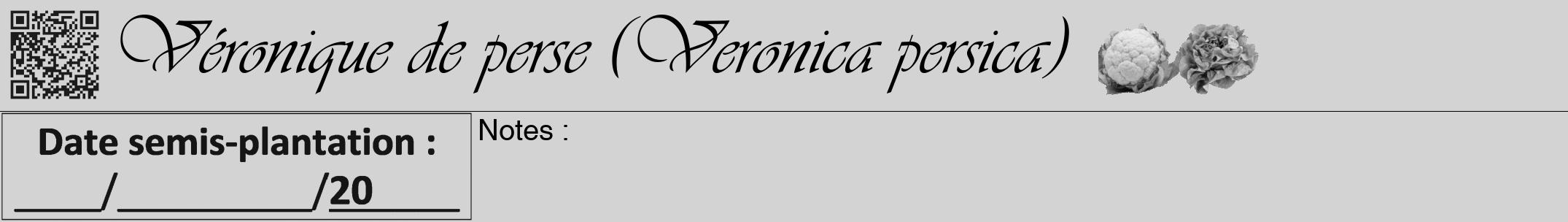 Étiquette de : Veronica persica - format a - style noire56viv avec qrcode et comestibilité simplifiée