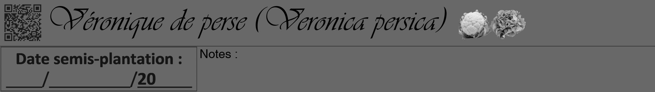 Étiquette de : Veronica persica - format a - style noire6viv avec qrcode et comestibilité simplifiée