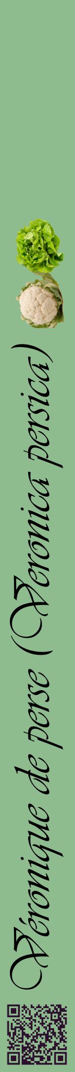 Étiquette de : Veronica persica - format a - style noire13viv avec qrcode et comestibilité simplifiée